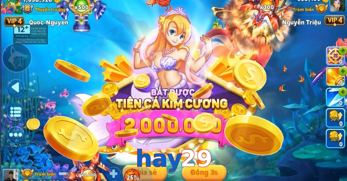 hay29
