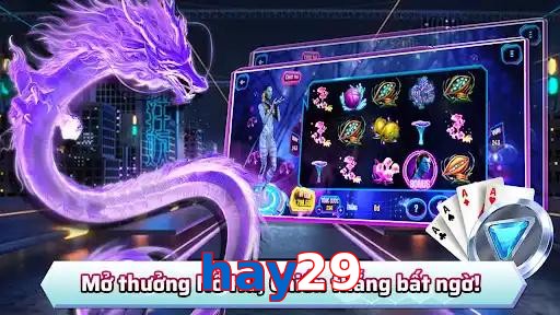 hay29