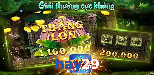 hay29